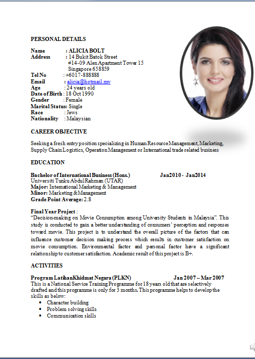 professional resume pdf