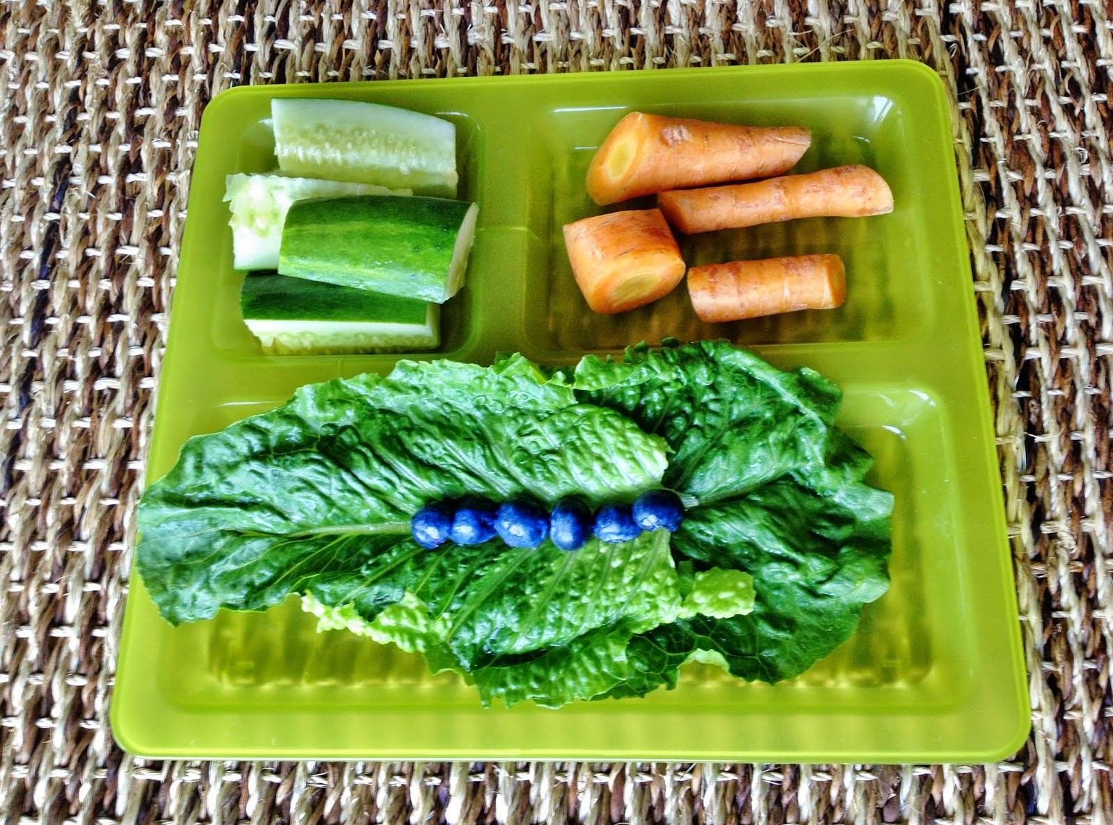 Guinea Pig breakfast: romaine lettuce, blueberries, carrots, cucumber.