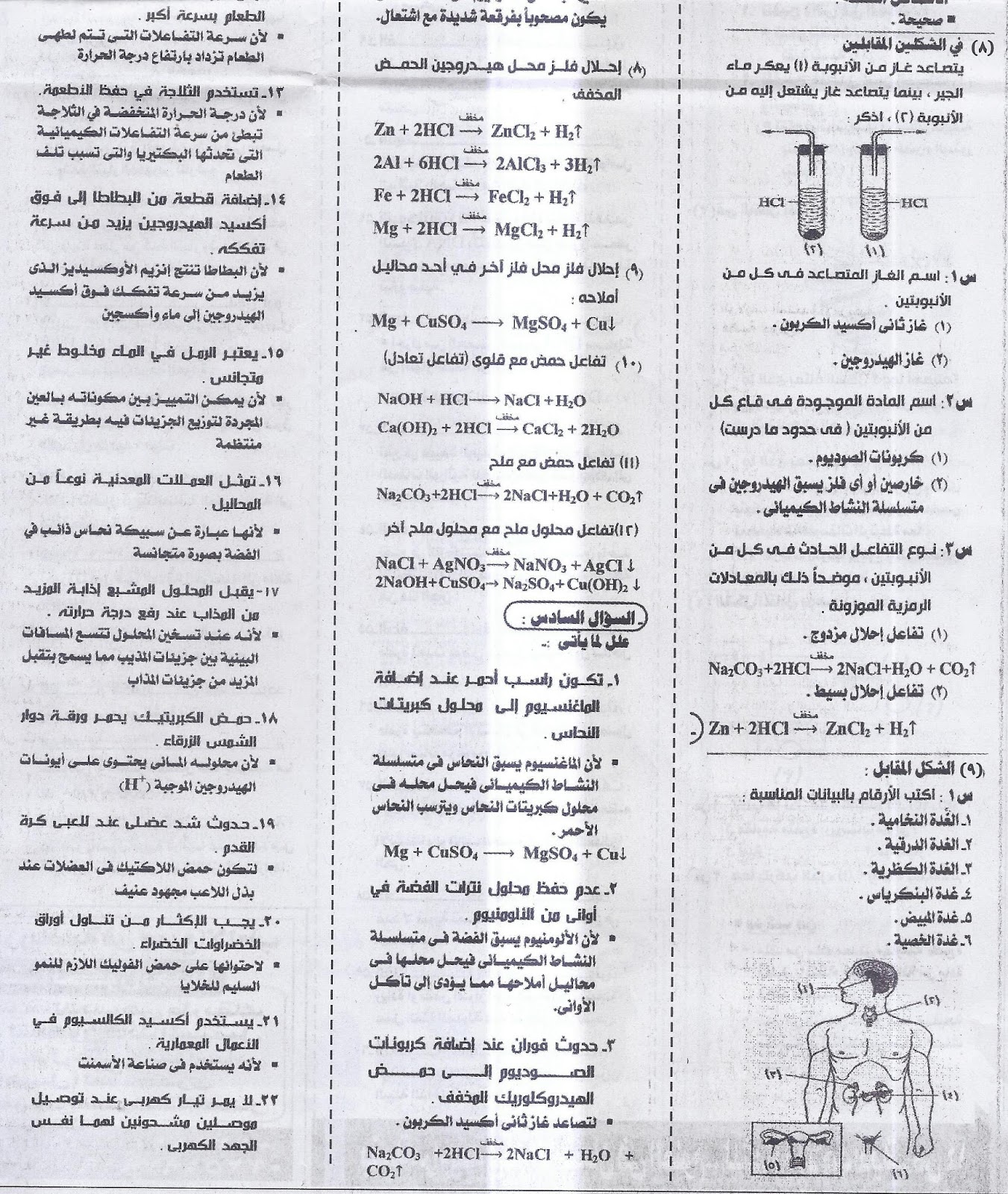 بنك اسئلة وتوقعات الجمهورية لامتحان العلوم للشهادة الإعدادية ترم ثاني 6