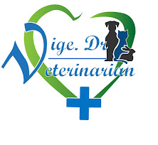 Vige.Dr Logo