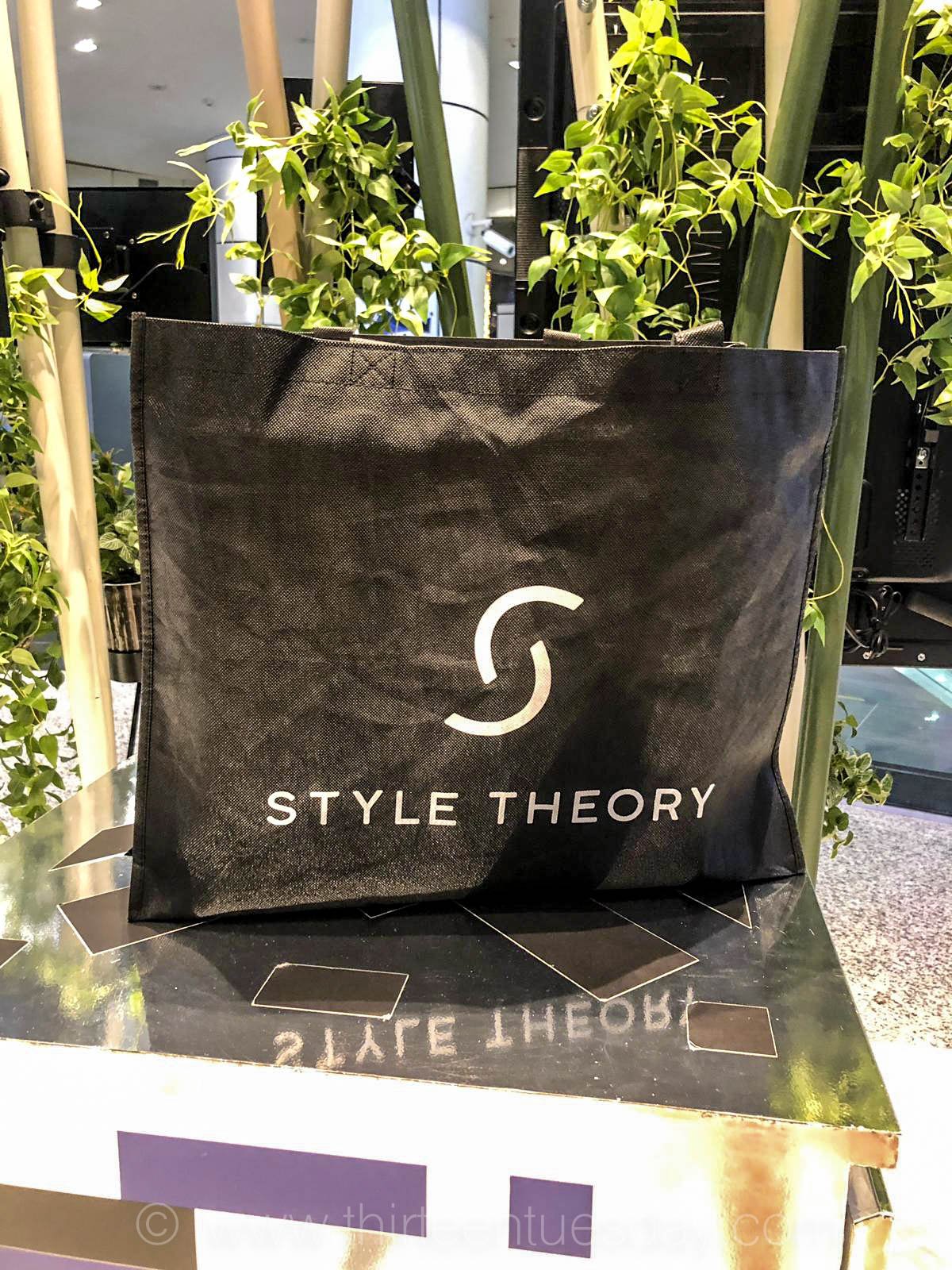 style theory bag