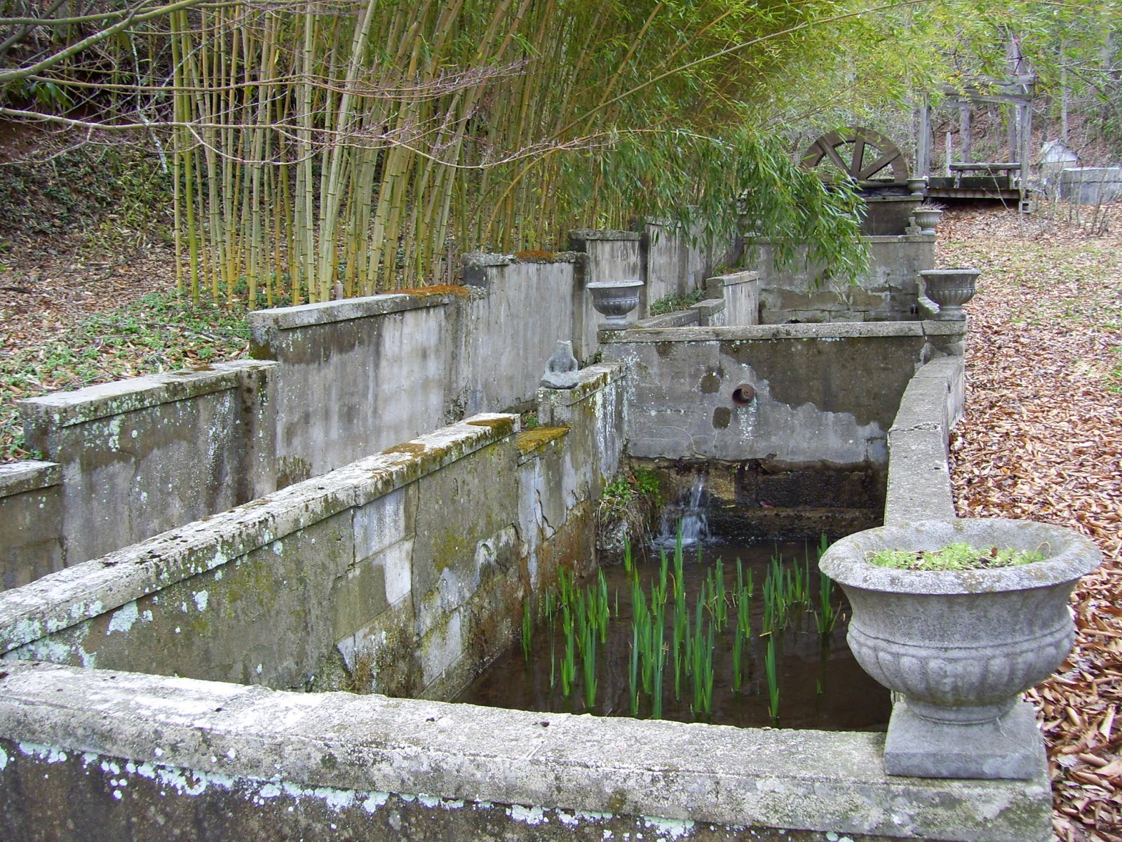 Living in Black Mountain, NC Old trout farm