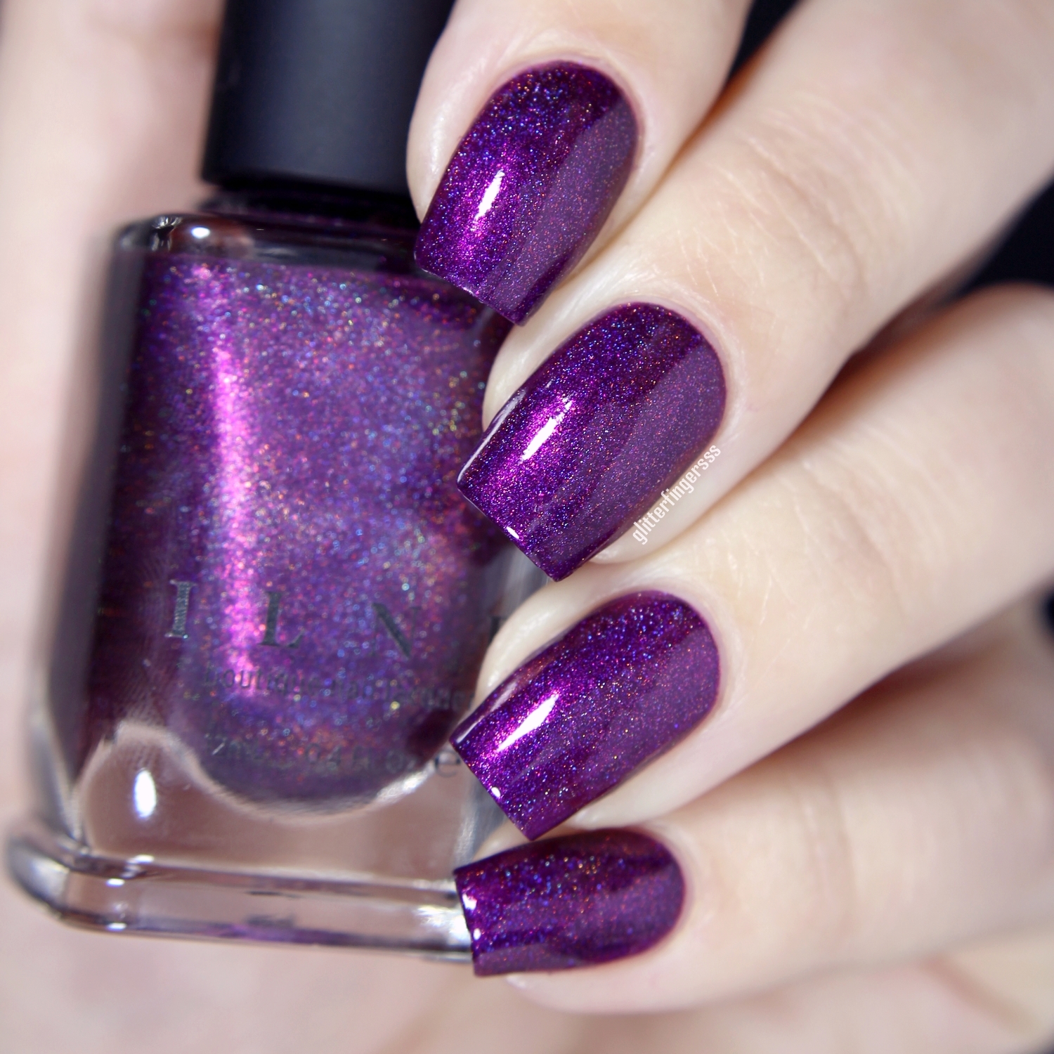 ILNP | Paper Route, Poetry, Glory, First Class ~ Glitterfingersss in ...