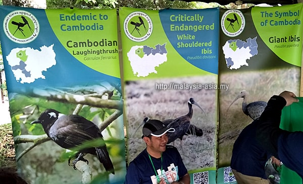 Bird Watchers Cambodia