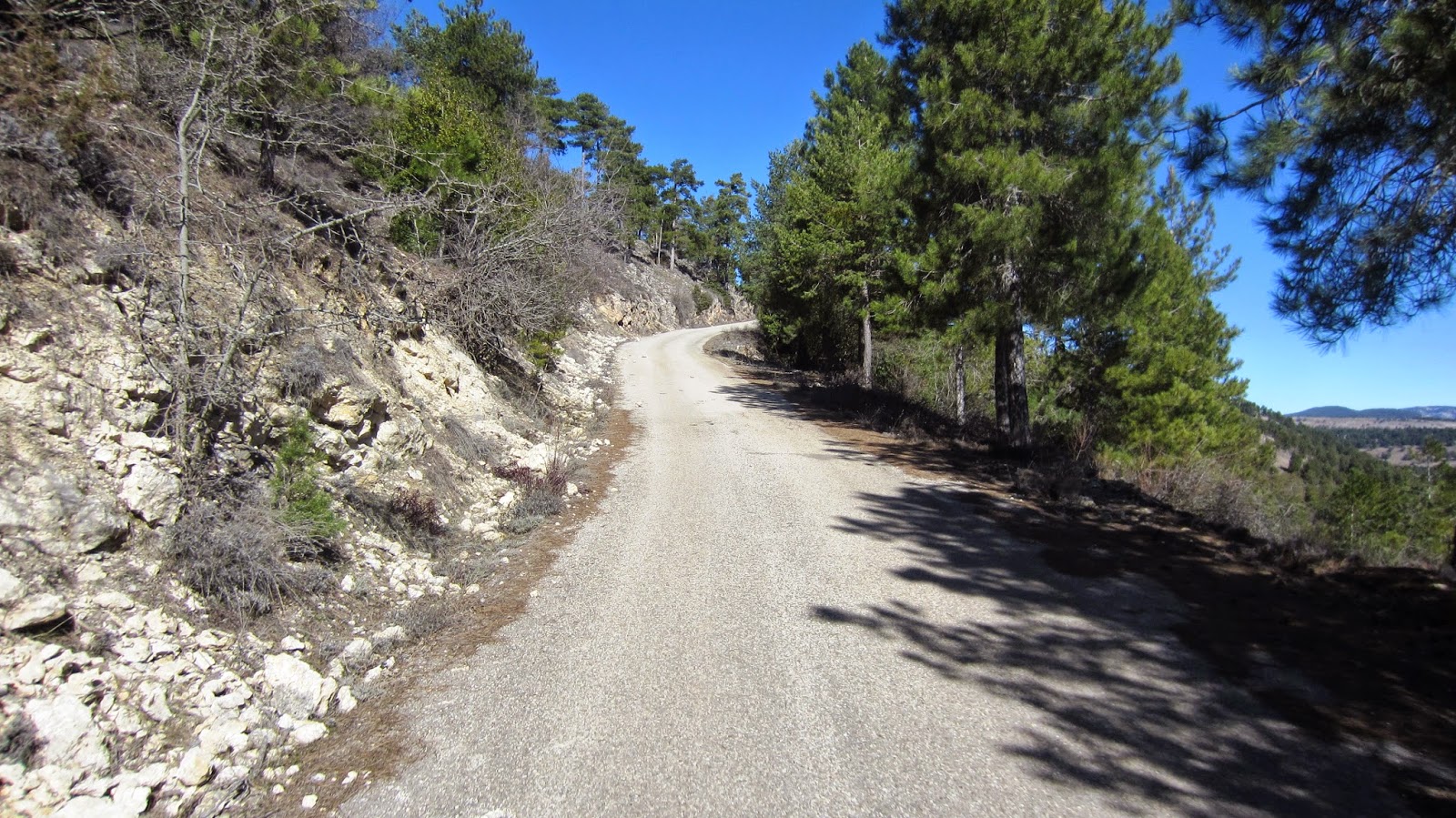 Peña del Acebo (XI)
