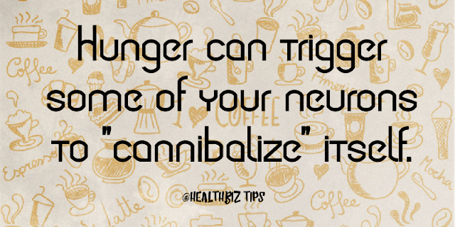 Hunger can trigger some of your neurons to "cannibalize" itself.