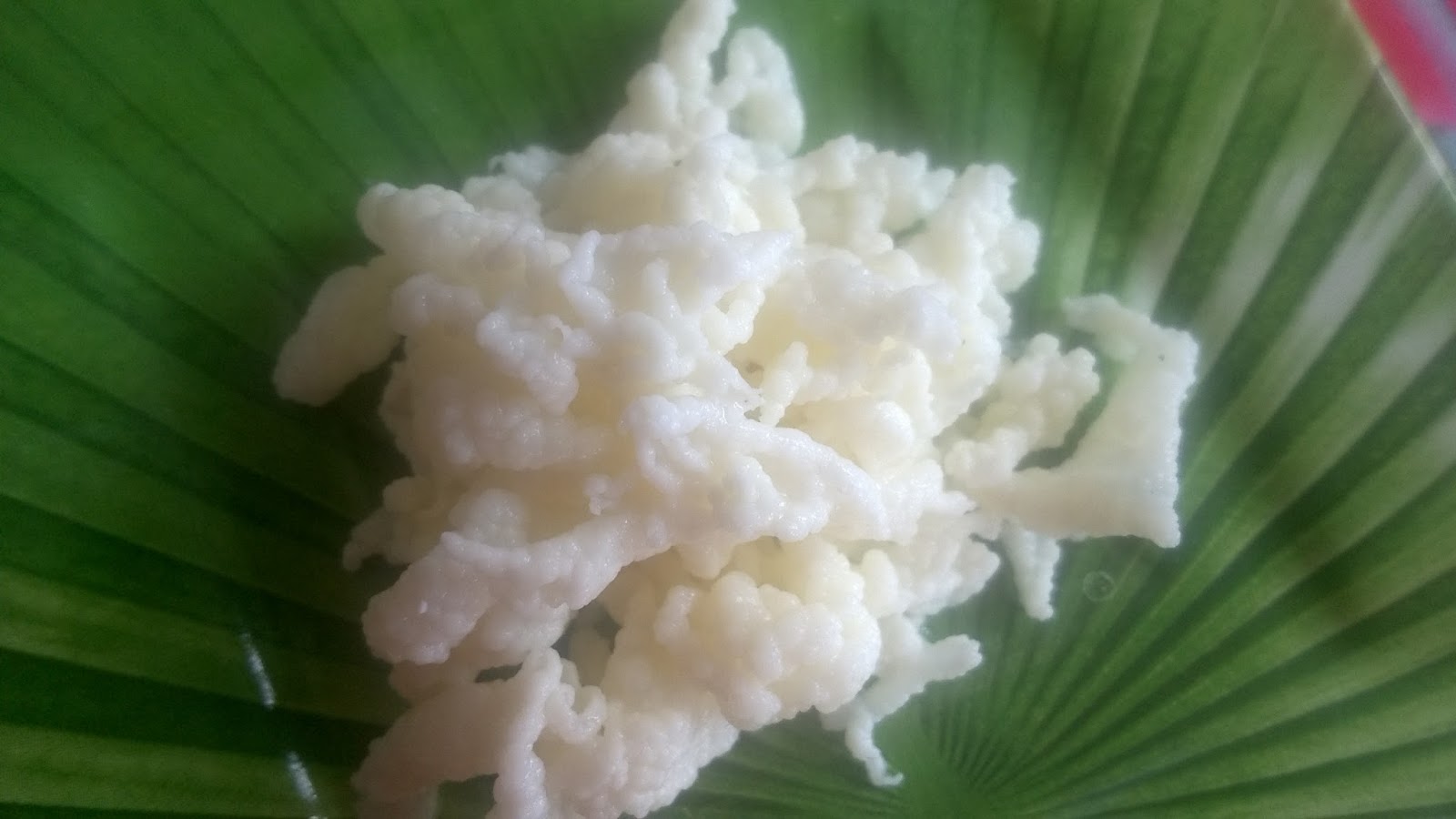 O que e kefir bichinho do iogurte