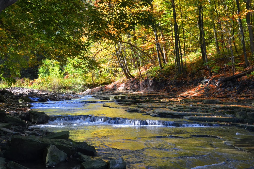 Photos by Peter Haentjens Walk along the Red Hill Creek