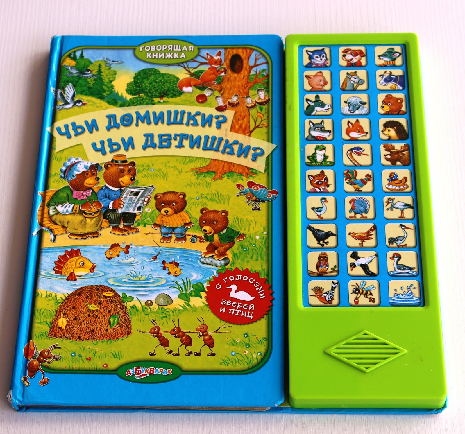 Говорящий книга фото Включи говорящие книги