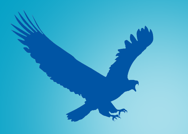 البرنامج الرائع فى تحميل الملفات من الانترنت 2.0.4.7 eagleget تحديث 2016 البرنامج الرائع فى تحميل الملفات من الانترنت 2.0.4.7 eagleget تحديث 2016