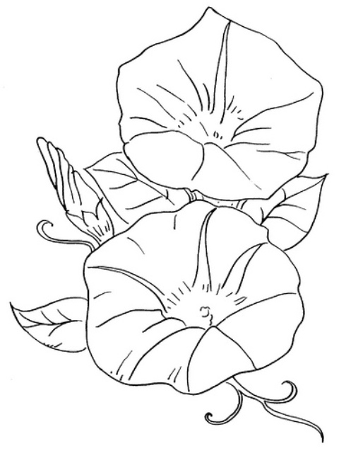 Pictures Of Flowers Outline Pictures Of Flowers Outline