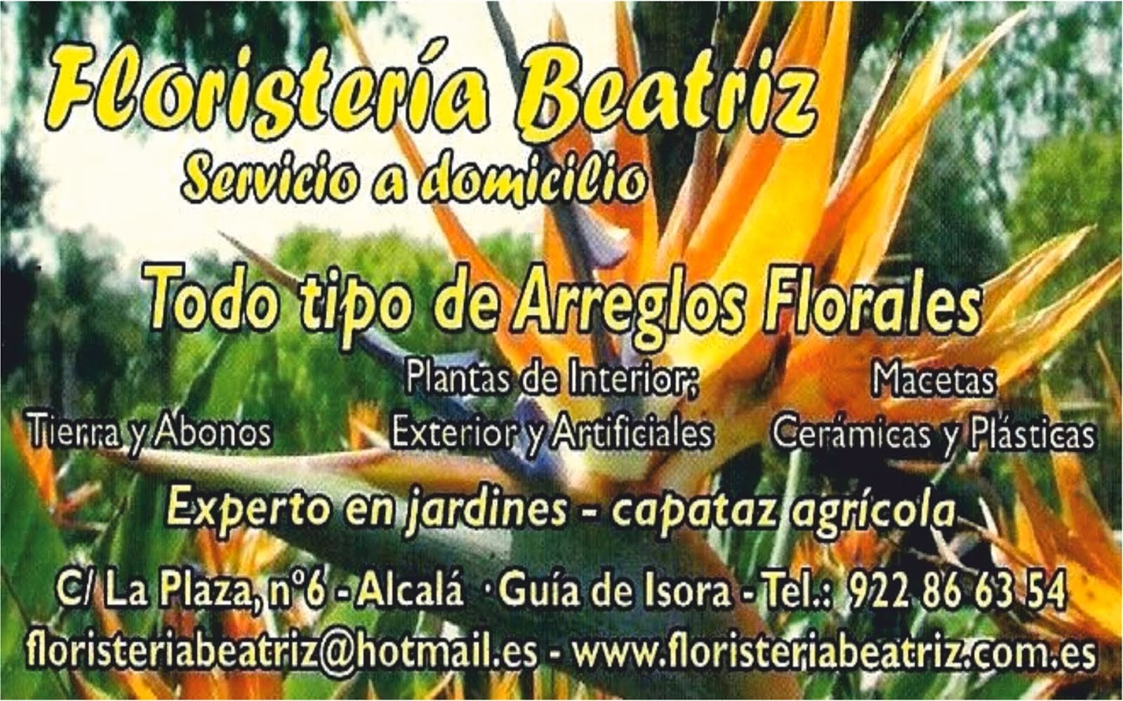 Floristería Beatriz