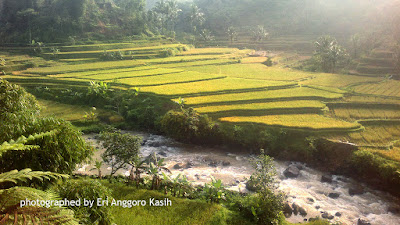 Tenjowaringin-Tasikmalaya Tenjowaringin-Tasikmalaya