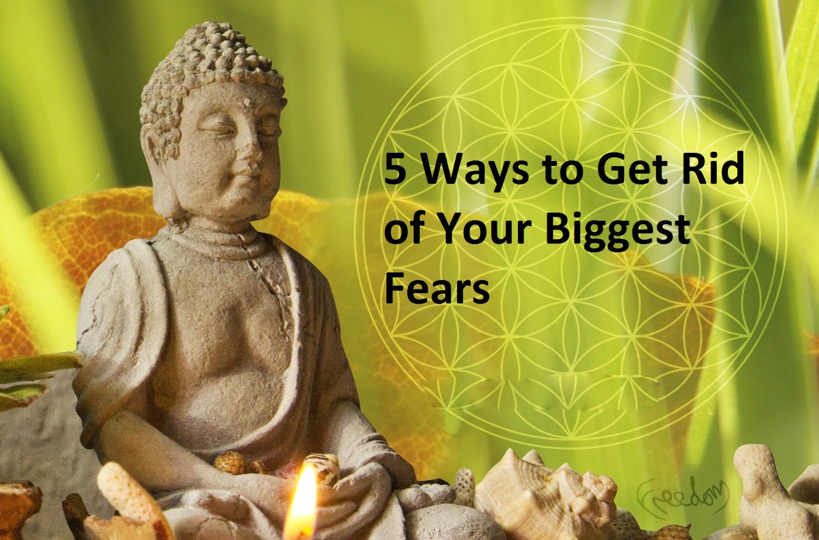 5 Ways to Get Rid of Your Biggest Fears The Wisdom Awakened
