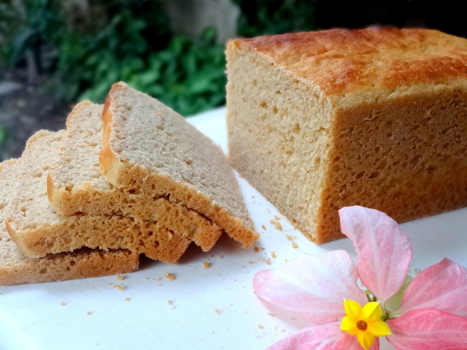Ambrosia 100 Whole Wheat Batter Bread 100 Whole Wheat No Knead