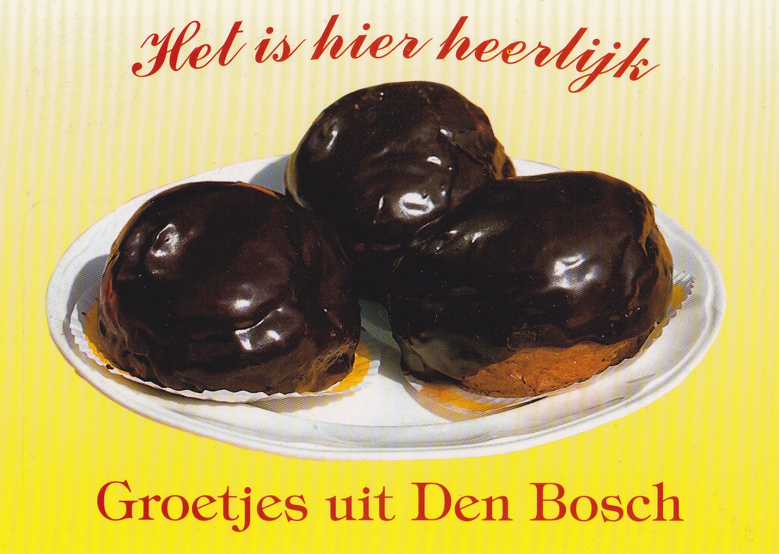 Lymfomania De Bossche Bol Lymfomania De Bossche Bol