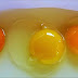 Você consegue adivinhar qual dessas gemas de ovos é realmente de uma galinha saudável?