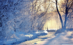 winter morning quotes widescreen