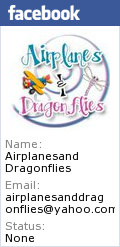 Airplanes and dragonflies