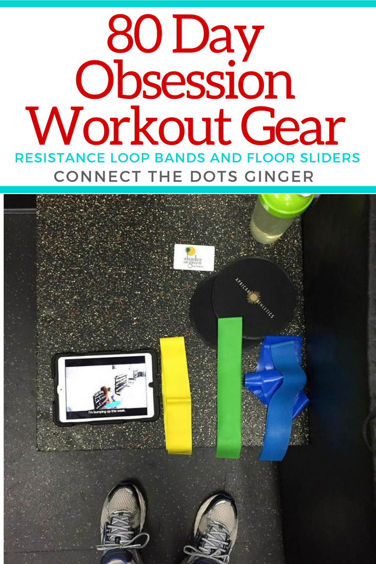 Connect the Dots Ginger Becky Allen 80 Day Obsession