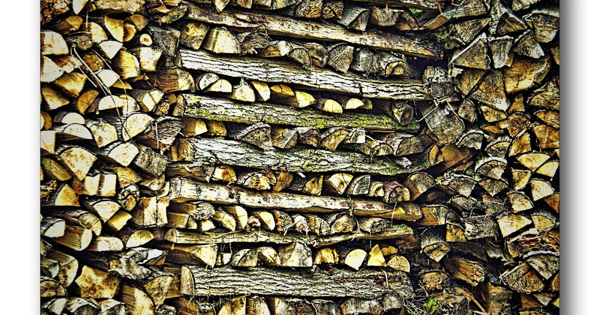 Oldrobel's Fotoreise Collect wood, it's going to be a cold winter