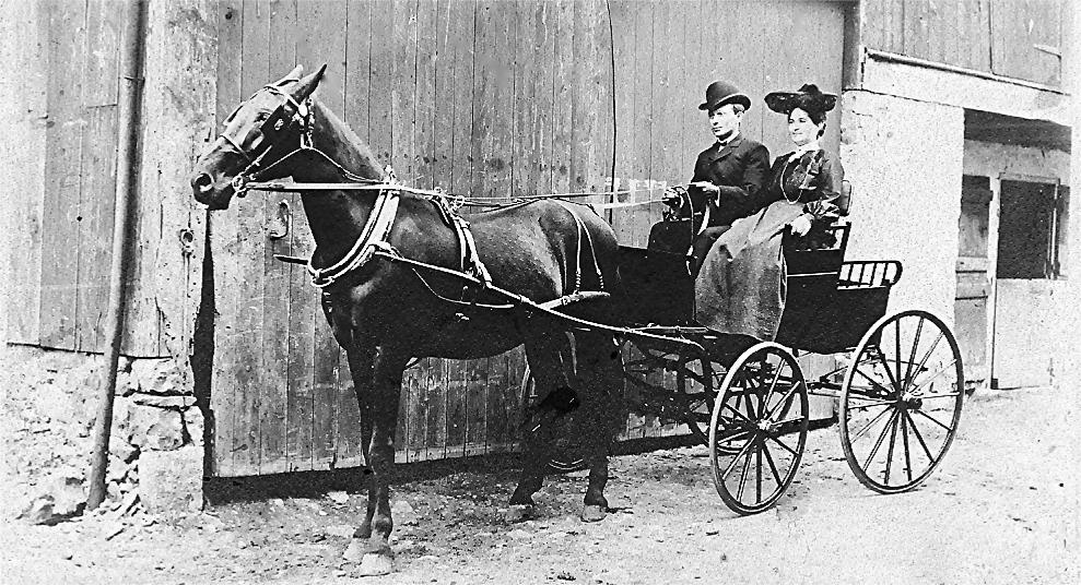Horse and Buggy One of the Common Transports before 1900 vintage