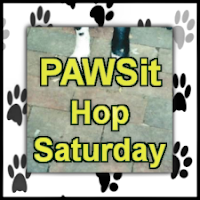 PAWSit with Dog Pawsitive Tidbits