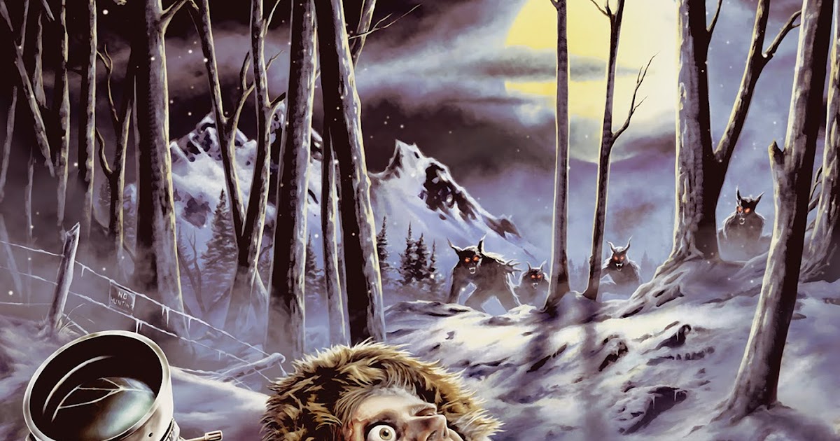 LE PETIT CINEMA DE STÉPHANE COLD GROUND