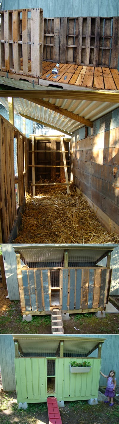 Chicken coop made from pallets