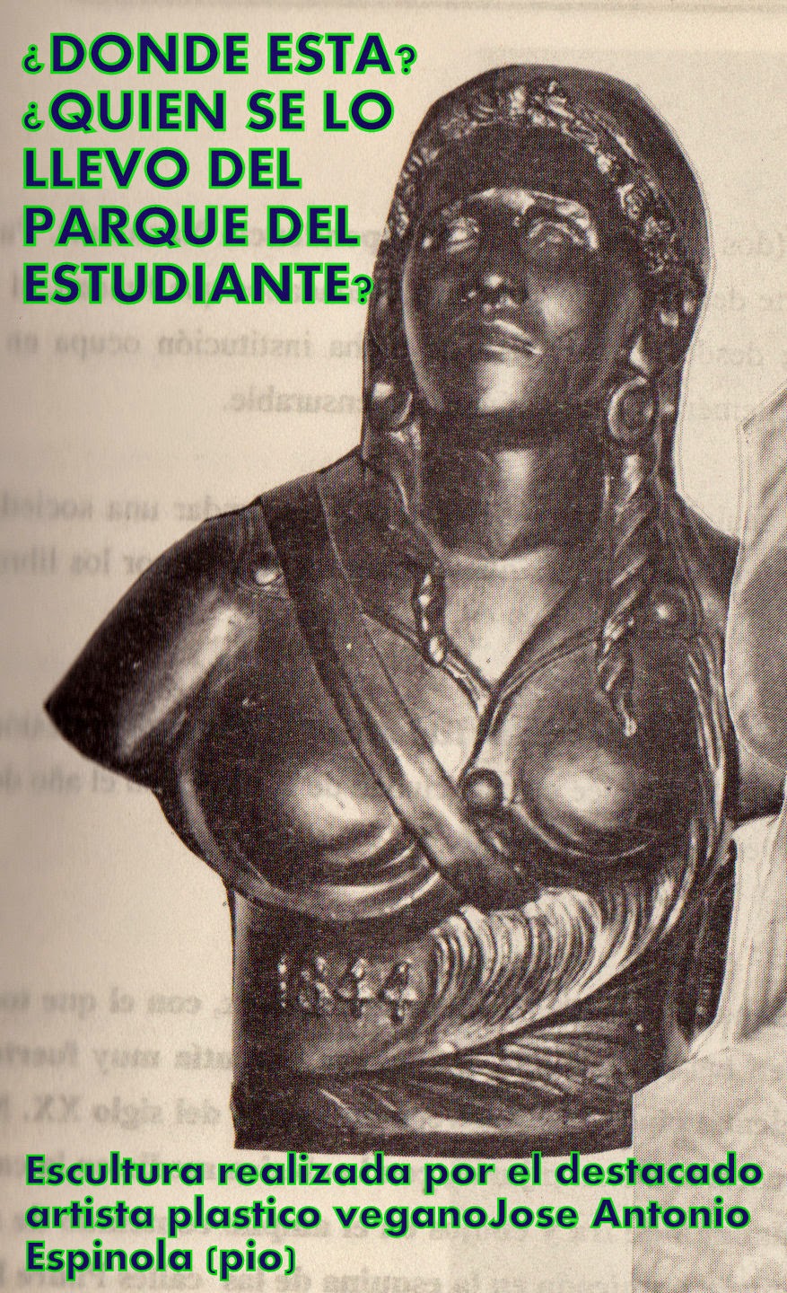 DESDELAVEGARD/Ub Solis Juana Saltitopa