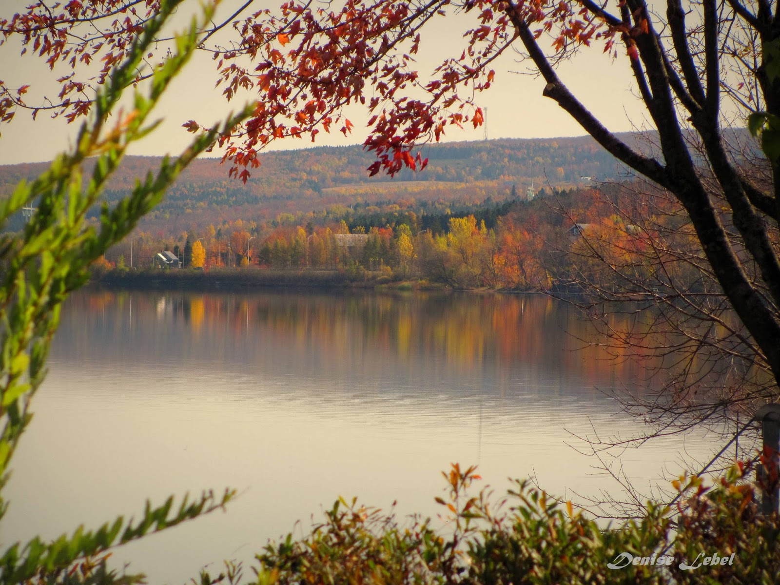 PASSION PHOTOS / VIDÉOS 2017