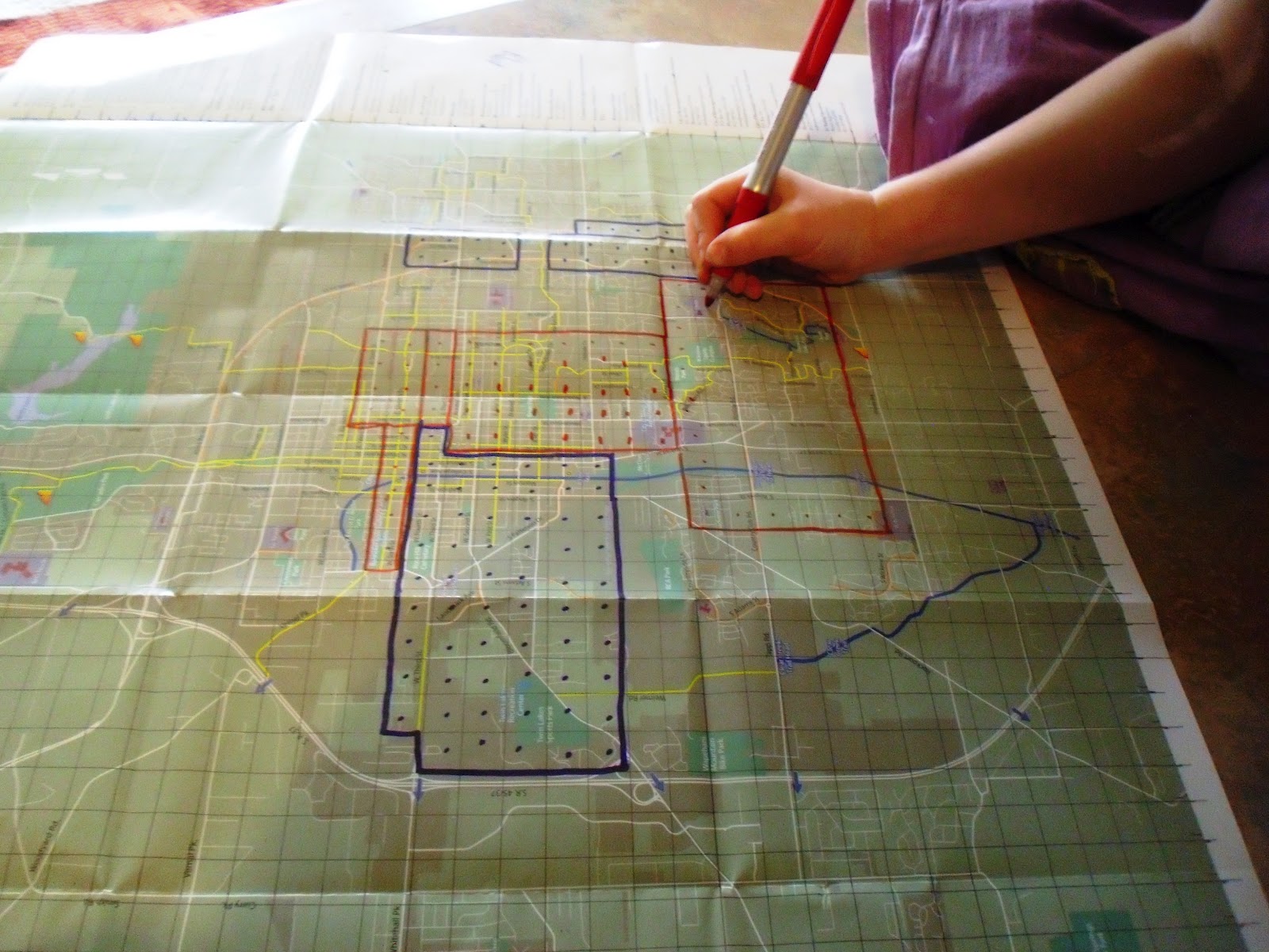 The Map is Not the Territory: Totally Territorial: Cats, Maps, Area ...