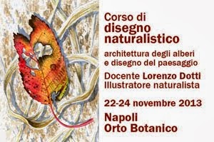 Corso di disegno naturalistico