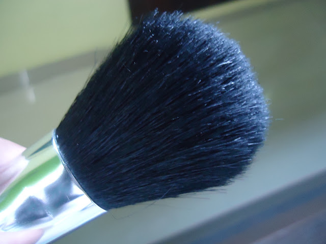 Mineralissima 12-pcs Makeup Brush Set Review