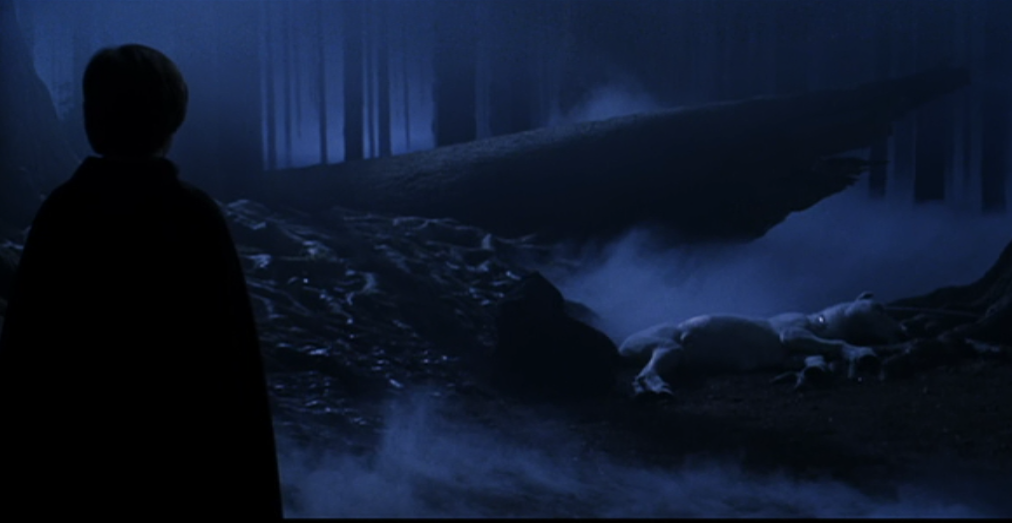 Harry Potter. El Bosque Prohibido.