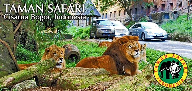 Wisata Ke Taman Safari Puncak Bogor