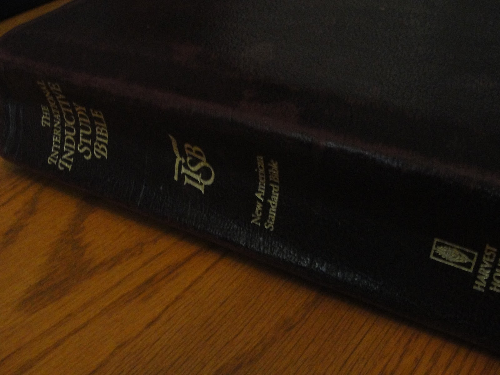 Delight Directed Living: Reading Through the Bible in 365 Days