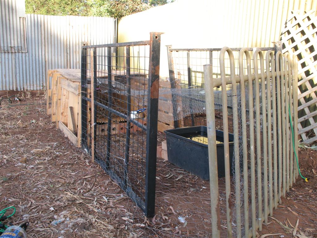 At Home with Kristy How to build a very cheap duck house