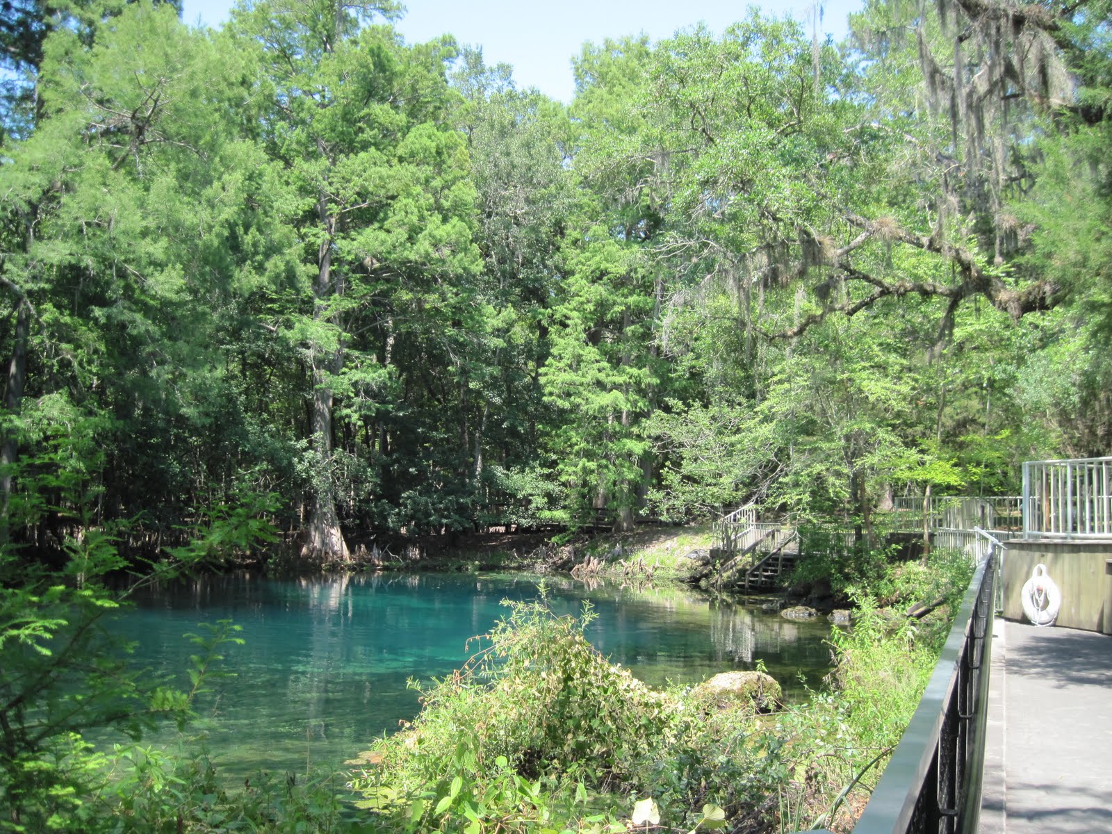 Spring Trip 2011: Manatee Springs State Park, Chiefland, Florida