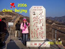 2006年北京行