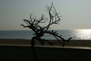 படம்