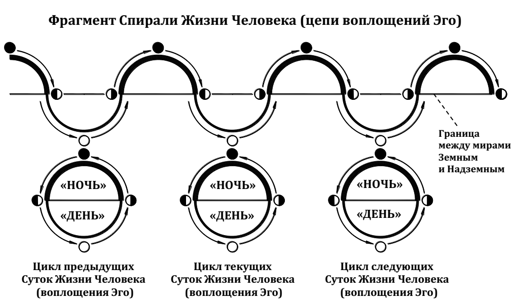 8 циклов жизни