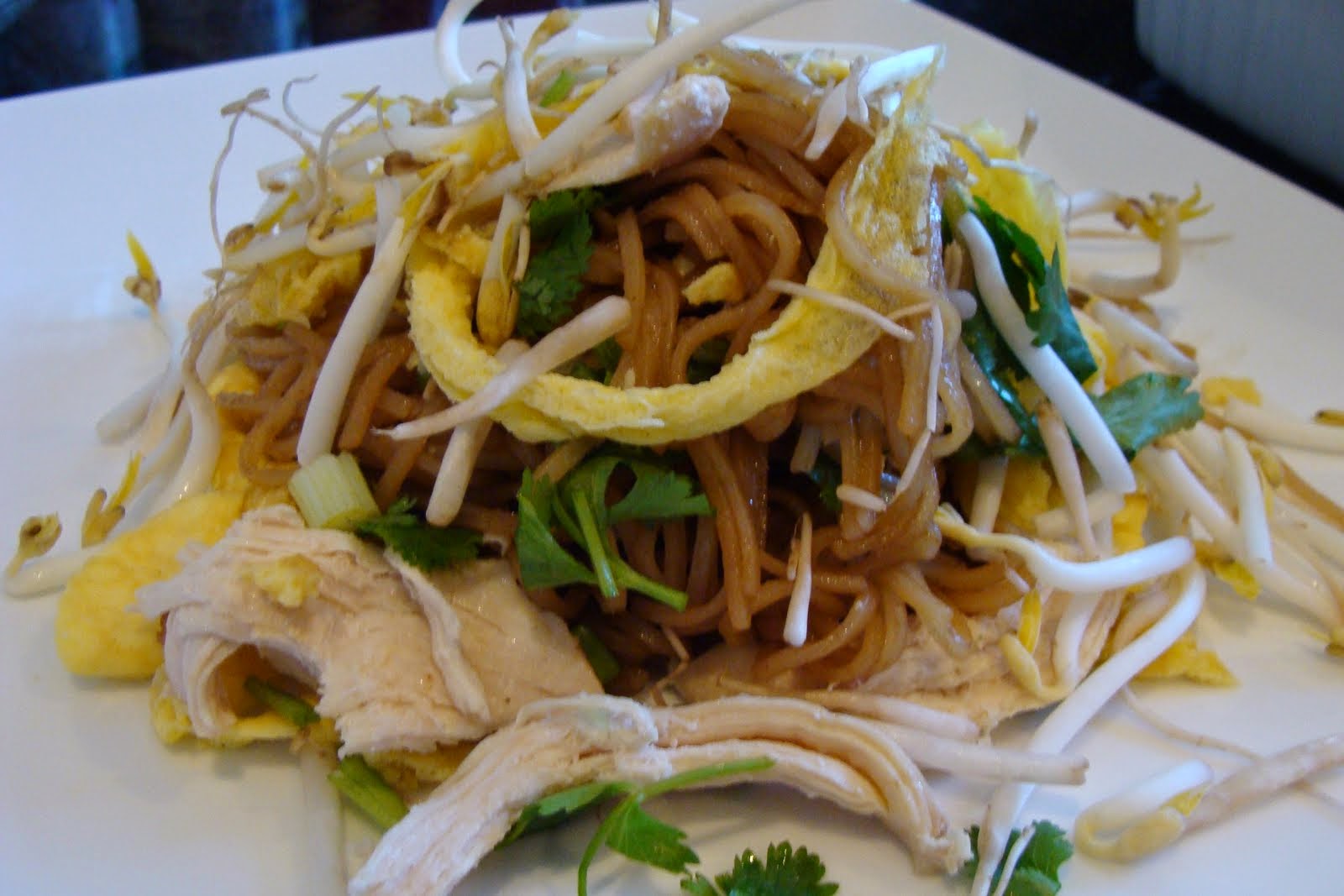 How to Make Cambodian Stirfried Noodles with Omelette Asian Cooking