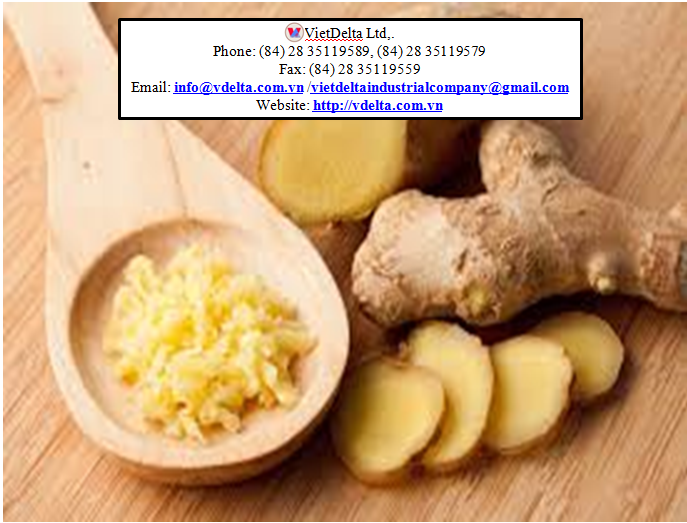 Ginger Suppliers Fresh Ginger