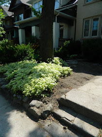 Leslieville front garden clean up after  Paul Jung Gardening Services Toronto