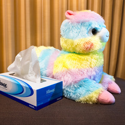 Alpacasso Tissue Box holder, in rainbow colors. Rainbow colored Alpacasso Tissue Box holder.