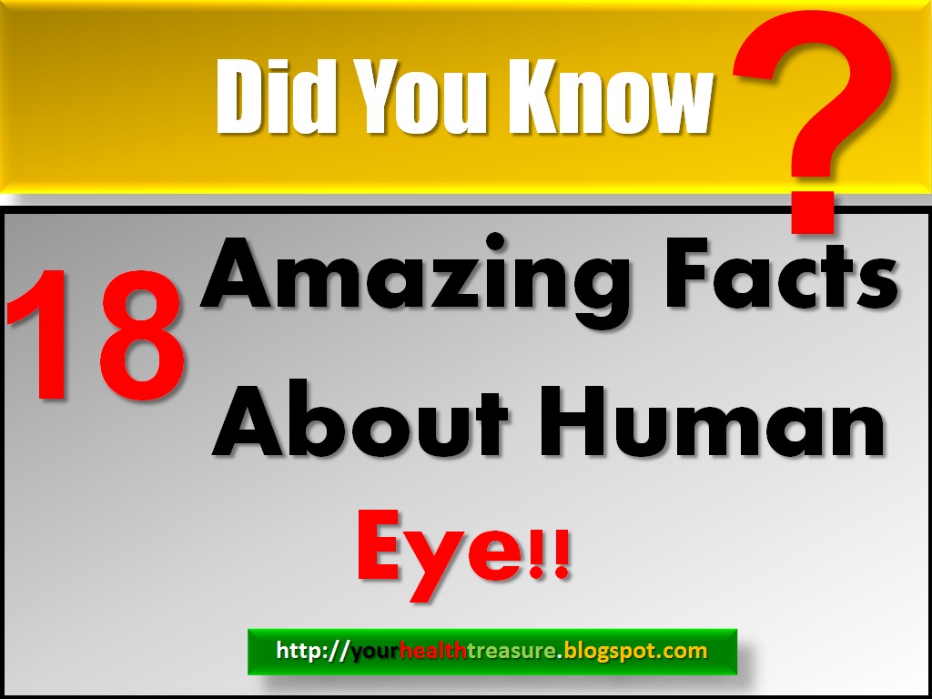 18 Amazing facts About Human Eye Human Eye Health Treasure