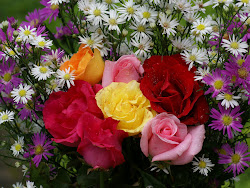 rosas hermosas amor flores mas bonitas imagenes colores bellas mi mundo imagen galeria industria tamaulipas amigos vida publicado link diversidad