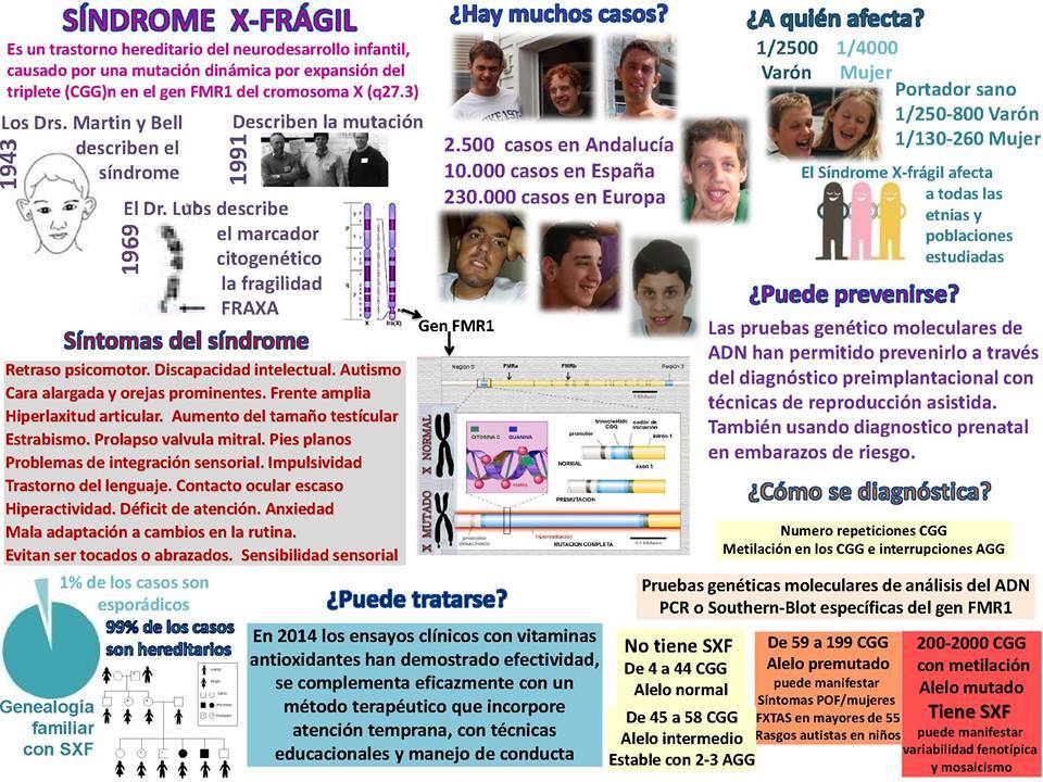 Mónica Diz Orienta El Síndrome del cromosoma X Frágil Mónica Diz Orienta El Síndrome del cromosoma X Frágil