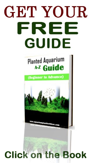 aquarium plant fertilizer finnex planted 24 7 fully automated